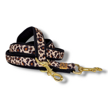 Lade das Bild in den Galerie-Viewer, Leine 3-fach "Golden Leo Love I"