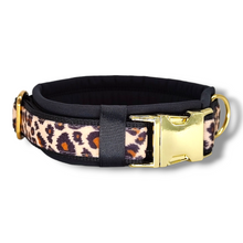Lade das Bild in den Galerie-Viewer, Halsband 50mm "Golden Leo Love III"