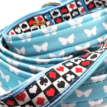 Lade das Bild in den Galerie-Viewer, Leinen - Leine 3-fach Wonderland