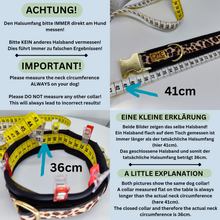 Lade das Bild in den Galerie-Viewer, Halsband 40mm &quot;Jahrmarkt II&quot;
