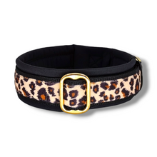 Lade das Bild in den Galerie-Viewer, Halsband 30mm &quot;Golden Leo Love II&quot;
