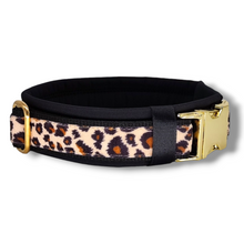 Lade das Bild in den Galerie-Viewer, Halsband 30mm &quot;Golden Leo Love II&quot;
