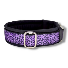Lade das Bild in den Galerie-Viewer, Halsband 30mm &quot;Lila Leo Liebe II&quot;
