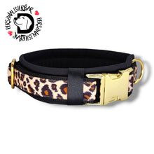 Lade das Bild in den Galerie-Viewer, Halsband 30mm &quot;Golden Leo Love II&quot;
