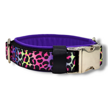Lade das Bild in den Galerie-Viewer, Halsband 40mm &quot;Rainbow Leo Love II&quot;
