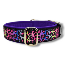 Lade das Bild in den Galerie-Viewer, Halsband 40mm &quot;Rainbow Leo Love II&quot;
