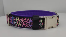 Laden und Abspielen von Videos im Galerie-Viewer, Halsband 40mm &quot;Rainbow Leo Love II&quot;

